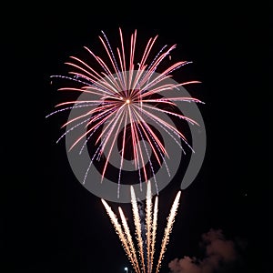 Redwhiteblue firework explosion lighting up the night sky