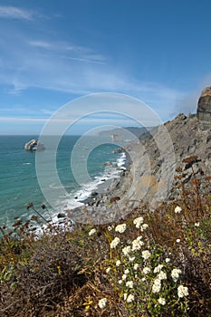 Redwood coast north of high bluff overlook with flowers