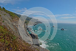 Redwood coast south of high bluff overlook