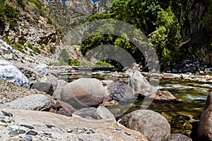 Redwood Creek, Highway 180, Kings Canyon National Park, Californ