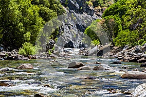 Redwood Creek, Highway 180, Kings Canyon National Park, Californ