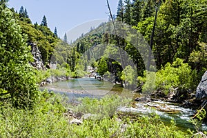 Redwood Creek, Highway 180, Kings Canyon National Park, Californ
