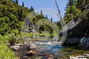 Redwood Creek, Highway 180, Kings Canyon National Park, Californ