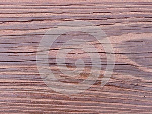 Redwood grain photo
