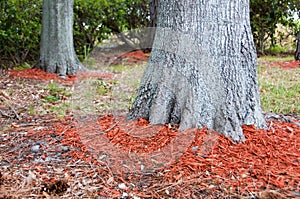 Redwood mulch ring