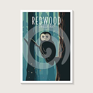 Redwood National Park poster illustration, spotted owl in the forest scenery poster