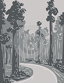 Redwood National and State Park in Northern California Monoline Line Art Grayscale Drawing