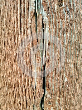 Redwood Texture and Grain Pattern