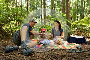 Redwoods in Rotorua New Zealand photo