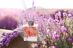 Reed air freshener with oil and fresh lavender flowers on wooden table in field. Space for text