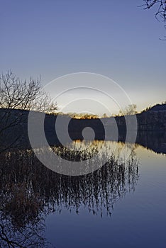 Reed beds and reflections in the calm waters of Clunie Loch at dusk.