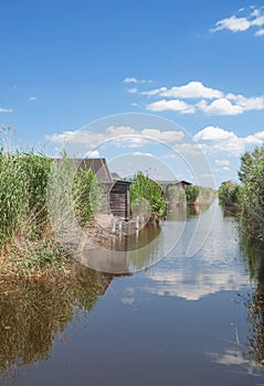 Reed Belt,Lake Neusiedl,Burgenland,Austria