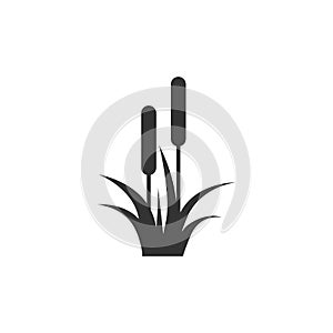 Reed, Cattail, Cane. Flat Vector Icon illustration. Simple black symbol on white background.