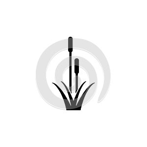 Reed, Cattail, Cane Solid Flat Vector Icon Isolated on White Background