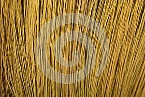 Dry Reed background photo