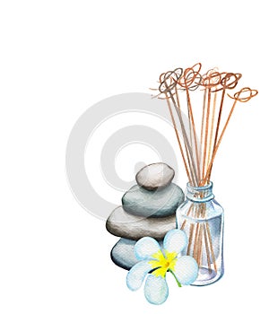 Reed diffuser, frangipani flower and pebble tower watercolor drawing on white background.