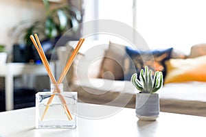 Reed diffuser to fragrance home interior on the coffee table of a light modern home living room