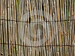 reed fence old bamboo texture