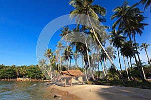 Reed huts and coconut palms
