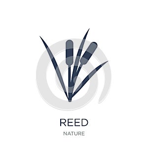 Reed icon. Trendy flat vector Reed icon on white background from