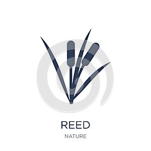 Reed icon. Trendy flat vector Reed icon on white background from photo