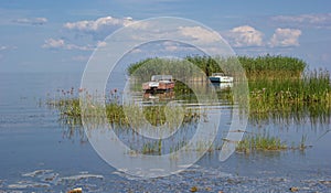 Reed island and boats, Peipus (Chudskoe) lake, Estonia photo