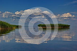 Reed island, Peipsi (Chudskoe) lake, Estonia