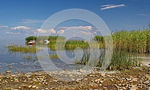 Reed islands and boats on Peipsi lake, Estonia