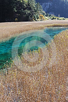 Reed lake in Jiuzhaigou