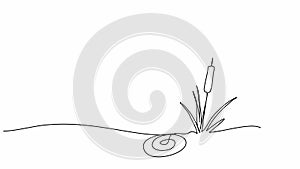 Reed or marsh hornwort, one line drawing animation. Video clip with alpha channel.