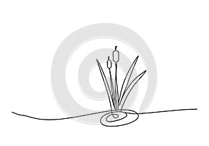 Reed or marsh hornwort, one line drawing vector illustration