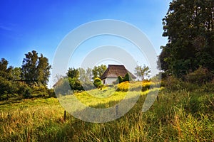 Reed roof house in a meadow with trees on the island Hiddensee. Germany, Mecklenburg-Vorpommern