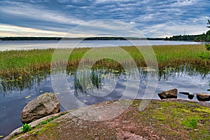 Reed and stones in blue fresh lake, Park Mon Repos, Vyborg, Russia