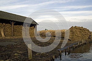 Reed storage, Riet opslag