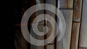 Reed texture for background or backdrop use