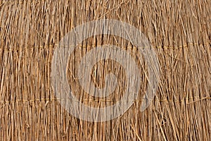 Reed texture wallpaper or background