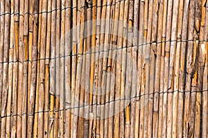 Reed Texture Wallpaper or Background