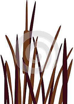 Reed vector