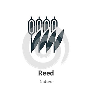 Reed vector icon on white background. Flat vector reed icon symbol sign from modern nature collection for mobile concept and web