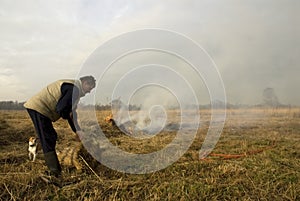 Reedcutter, Rietsnijder