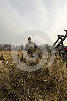 Reedcutter, Rietsnijder