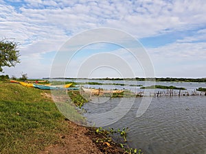 Shoreline on Lake Victoria