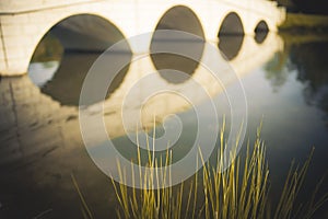Reeds and bridge reflection golden