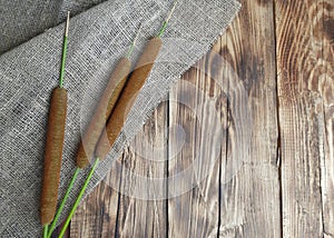 Reeds,  bulrush with sack, burlap on wooden background.