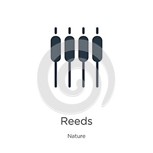 Reeds icon vector. Trendy flat reeds icon from nature collection isolated on white background. Vector illustration can be used for