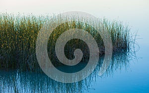Reeds Lake