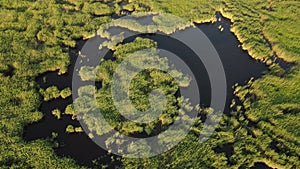 Reeds lake drone green wonderful