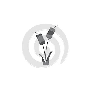 Reeds plant vector icon isolated on white background