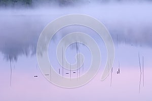 Reeds and Sunrise Reflections