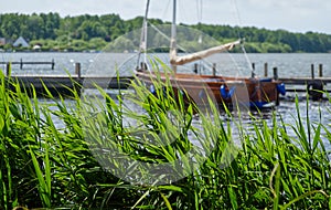 Reeds swaying in the foreground with a moored sailboat and a wooden pier on steinhuder meer in background photo